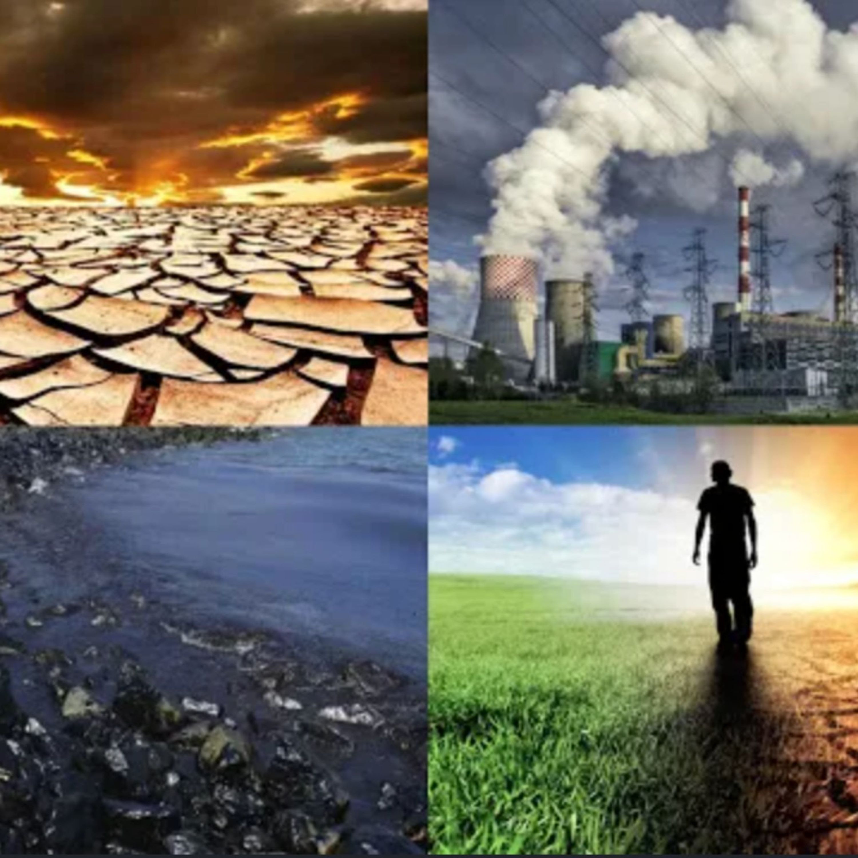 This is not the desired world