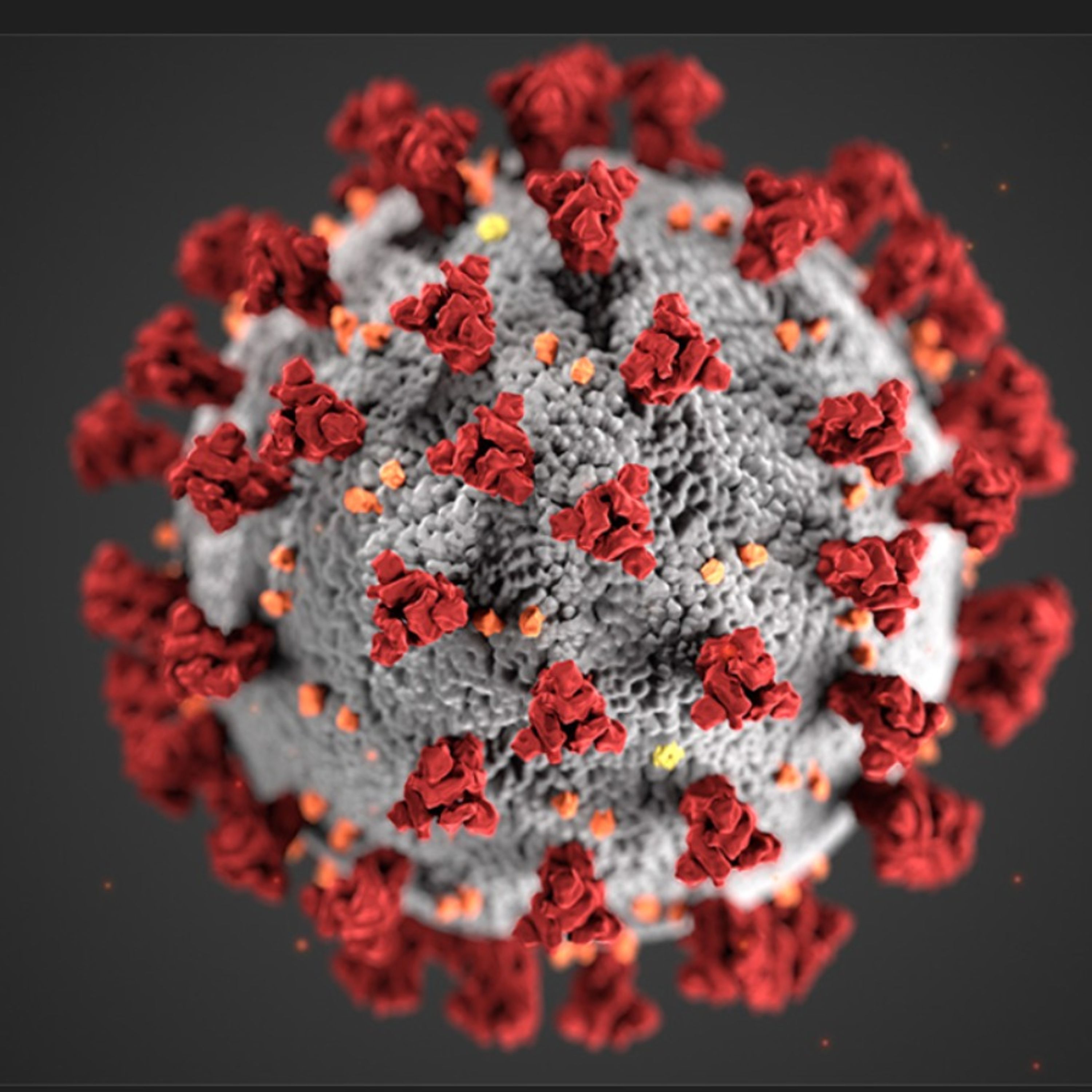 Let's behave in pandemic times