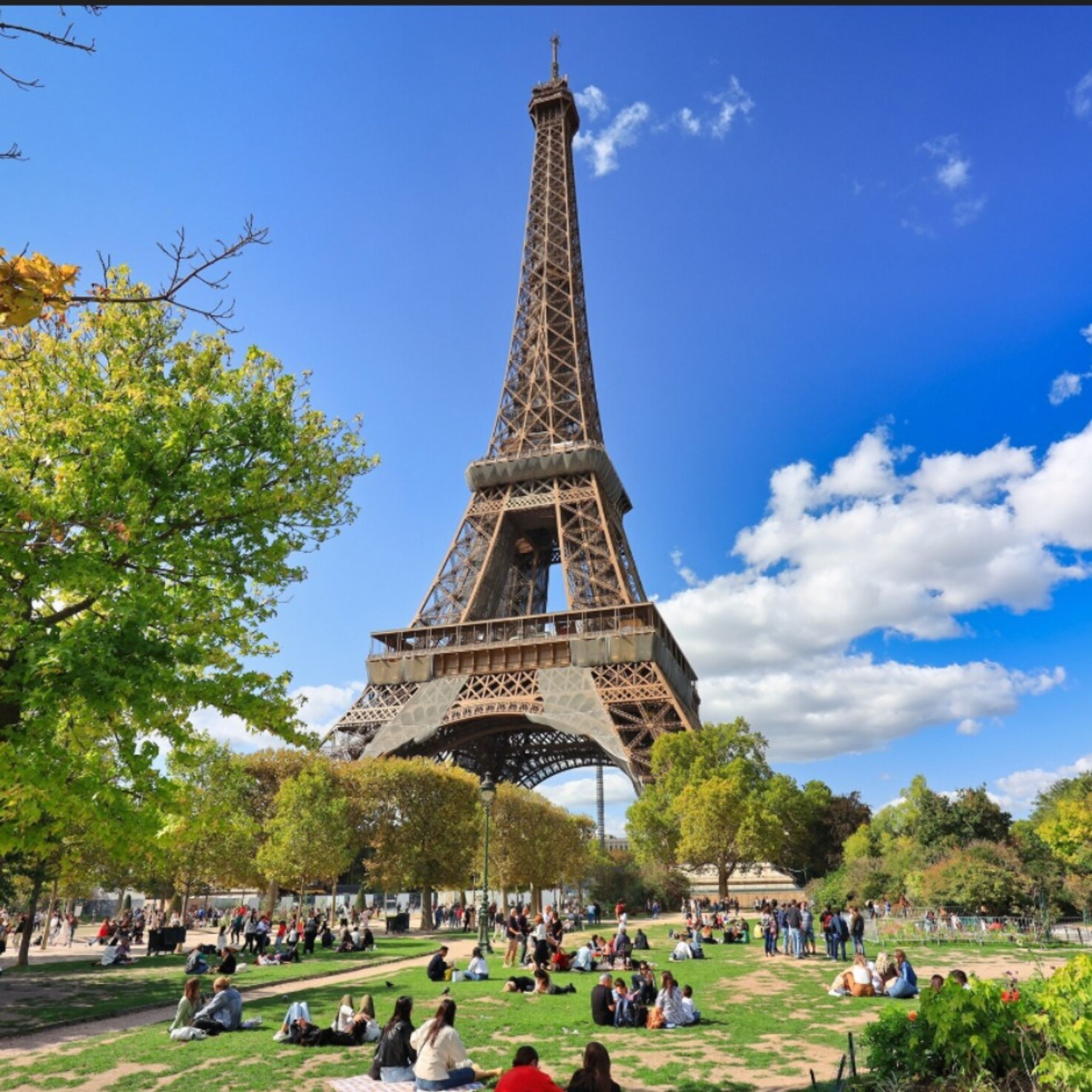 Paris is wild